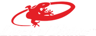 Lizard Skins